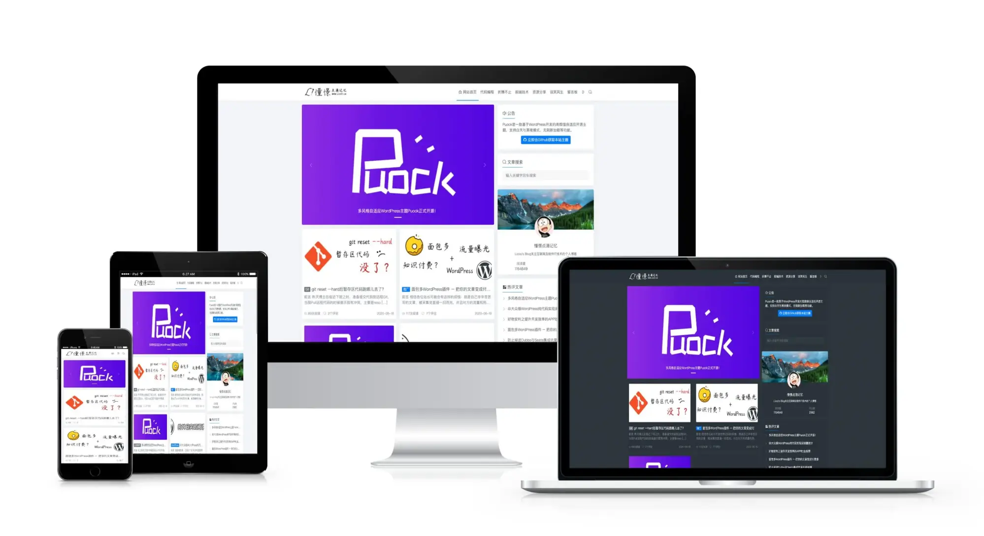 Puock：高颜值多功能的WordPress主题